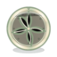 Sand Dollar ball skin