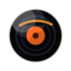 Vinyl Spin ball skin